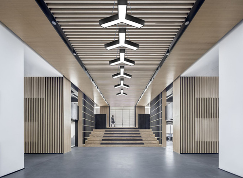 30W Y-shaped LED pendant lamp | Modern 4000K ceiling light with height adjustment LPL-001