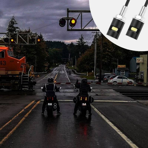 Lámparas LED COB en el tornillo para iluminar la matrícula.