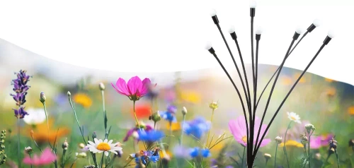 LED-Gartenleuchte Kugeln | 73 cm, 600 mAh | FLD-01-W