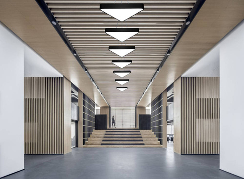 LPL-007 | Függesztett LED mennyezeti lámpa 40W | teljes háromszög alakú | alumínium | A CCD nem villog | Φ60x6