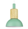 Hanglamp met glazen kap en hout | Scandinavisch design, E27 fitting | groen | YG-XD002A-G