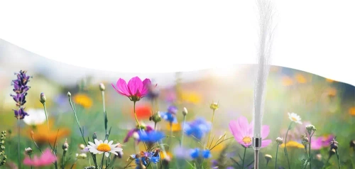 LED-Gartenleuchte Solarblume | 90 cm, 600 mAh | kaltweiß | FLD-45-WHITE