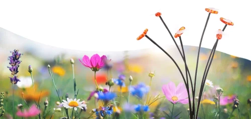 FLD-02-W | Venkovní solární včelí LED lampa | 73 cm, 600 mAh