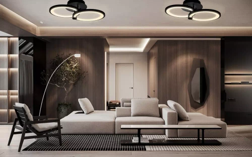 RLC-C28W-B | Šiuolaikinė lubų lempa | Lubos | LED | Juoda