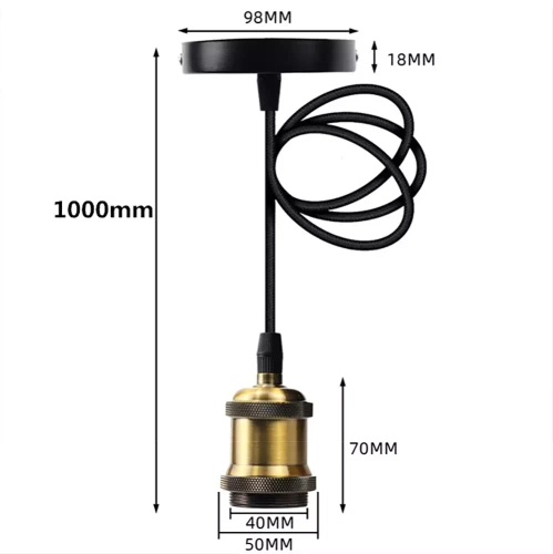 ZRT-D100-G | Hanging ceiling lamp | Loft