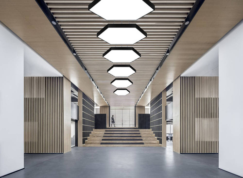 LPL-003 | Plafoniera LED suspendata 80W | hexagon plin | aluminiu | CCD nu clipește | Φ80x6