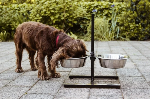 LDB-2ML-NERO | Ciotola doppia per cibo e acqua | Ciotole su supporto regolabile per cane o gatto