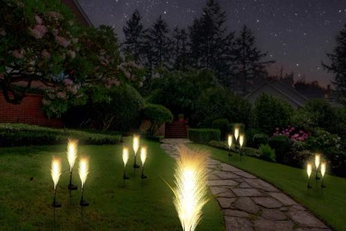 FLD-04-W | Lampe de jardin solaire à LED Herbe de la pampa | 73 cm, 600 mAh