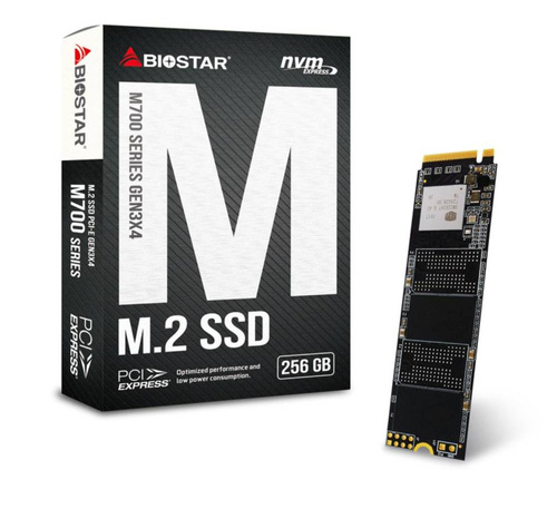 SSD-Festplatte | M.2 NVMe PCIe x4 Gen3 256 GB | Biostar M700 BOX