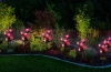 FLD-35-PINK | LED solar garden lamp Pink roses | 74cm, 600mAh