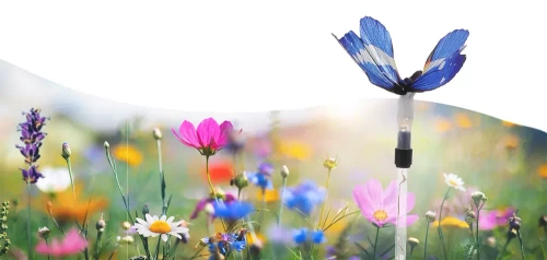 FLD-42-BLU | Lampada solare da giardino a LED farfalla | 73 cm, 600 mAh