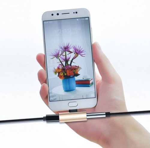 UA-006 | Type-C - Type-C + Jack-adapter | Lydadapter til din telefon