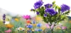 FLD-27-LILLA | Solblomst | LED solar havelampe Begonia | 60 cm, 600 mAh