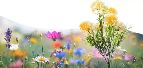 FLD-14-JAUNE | Lampe de jardin LED solaire Thistle | 65 cm, 600 mAh