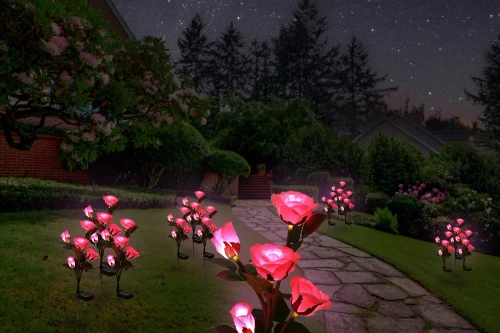 FLD-35-PINK | LED saulės sodo lempa Rožinės rožės | 74 cm, 600 mAh