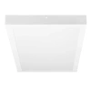 LED-plafondpaneel | Opbouw plafondlamp 60x30cm | 30W, 2850lm | wit