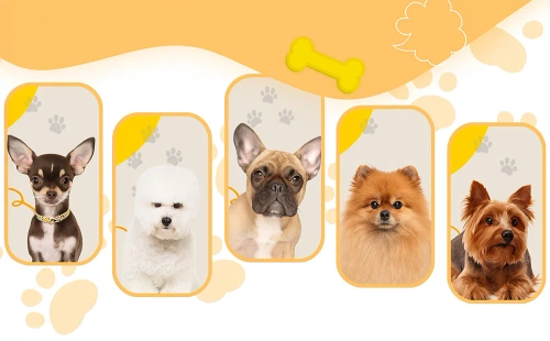 Suéter macio e elástico para cão ou gato | tamanho S | cinza | PET-014S-GREY