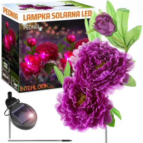 FLD-10-LILA | Solar Gartenlampe LED Pfingstrose violett | 80 cm, 600 mAh