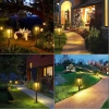 HK-115A | |2 x Solar Garden LED Light | 60 cm woad post