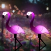 BRD-3IN1 | Lâmpada solar LED para jardim Flamingos 3pcs | 51cm, 600mAh