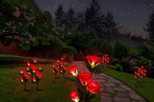 FLD-35-ROSSO | Lampada da giardino solare a LED Rose rosse | 74 cm, 600 mAh