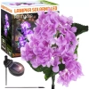 FLD-37-PURPLR | Zonnebloem | LED tuinlamp op zonne-energie Hortensia | 76cm, 600mAh