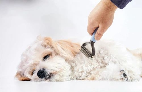 PDS-179-BLEU | Brosse pour brosser la fourrure et le sous-poil | Tondeuse pour animaux | Peigne d'entretien de la fourrure