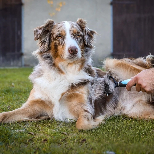 PDS-179-BLAUW | Borstel voor het borstelen van vacht en ondervacht | Dierentrimmer | Bontverzorging kam