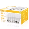 Opakowanie żarówek LED E27-BOX-22W