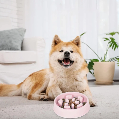 CWP-B18-ROSE | Bol lent pour aliments pour animaux | Bol avec patins antidérapants