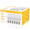 Opakowanie żarówek LED E27-BOX-12W