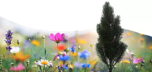 FLD-34 | Lampada solare da giardino a LED in abete rosso | 66 cm, 600 mAh