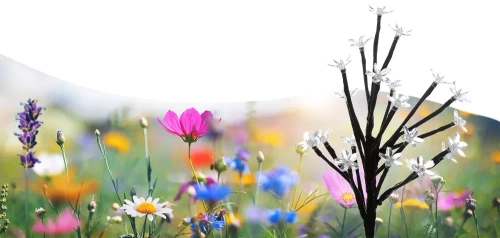 FLD-07-C | Solblomst | LED solar havelampe Træ med blomster | 70 cm, 600 mAh