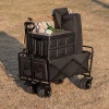 Foldable tourist trolley | Large transport trolley 100kg | Beach trolley 120L | CP01-80