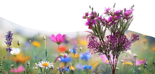 FLD-16-ROXO | Flor solar | Lâmpada solar LED para jardim Buquê de orquídeas | 60cm, 600mAh