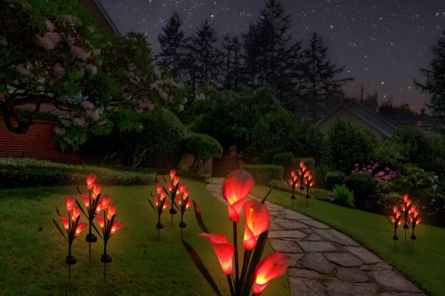 FLD-38-ROZE | Zonnebloem | Kalia LED-tuinlamp op zonne-energie | 67cm, 600mAh