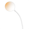 Q5-3 | Desk lamp, school LED with a clip for a countertop Touch