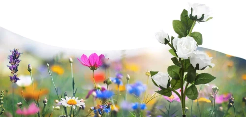 FLD-35-БЯЛ | Градинска соларна лампа LED Рози бели | 74см, 600mAh