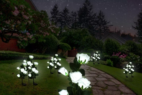 FLD-35-WIT | Zonnebloem | LED-tuinlamp op zonne-energie Witte rozen | 74cm, 600mAh