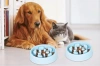 CWP-B18-ALBASTRU | Hrană pentru animale de companie Slow Bowl | Bol cu ​​tampoane antiderapante  