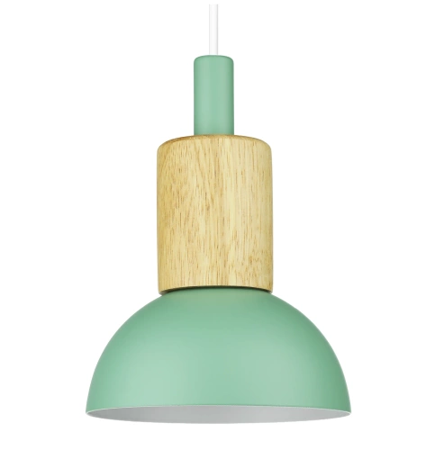 Hanglamp met glazen kap en hout | Scandinavisch design, E27 fitting | groen | YG-XD002A-G