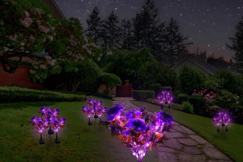 FLD-27-PURPLE | Begonia LED solární zahradní lampa | 60 cm, 600 mAh