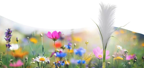 FLD-04-W | LED Solar Garden Lamp Pampas Grass | 73 cm, 600 mAh