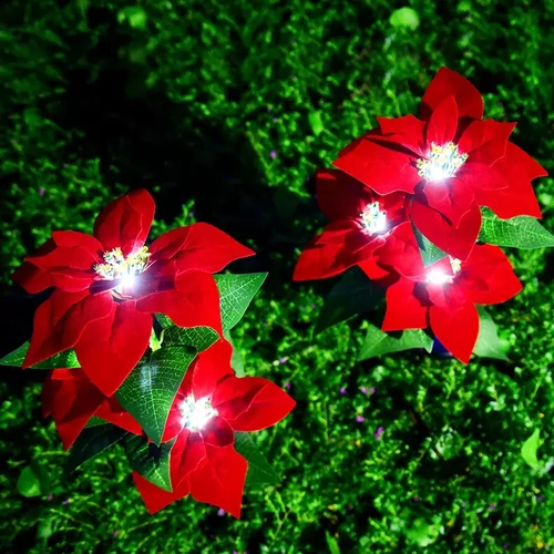 FLD-22-RED | Garden solar lamp LED Star of Bethlehem | 70cm, 600mAh