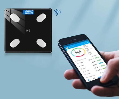 NS-BT1 | Intelligent Bathroom Bathroom with a thermometer LED display