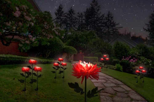 FLD-26-PINK | Sodo saulės lempa LED Chrysanthemum | 72 cm, 600 mAh