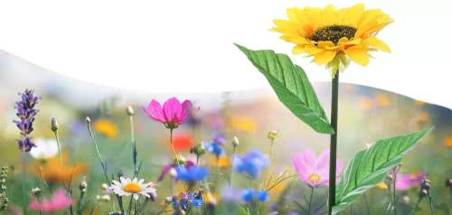 FLD-21-AMARELO | Flor solar | Lâmpada solar LED para jardim Girassol | 68cm, 600mAh