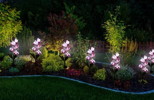 FLD-23-WP | Flor solar | Lâmpada solar LED orquídea para jardim | 75cm, 600mAh