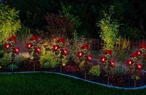 LED-Gartenleuchte Solar Blume Weihnachtsstern | 70 cm, 600 mAh | rot | FLD-22-RED