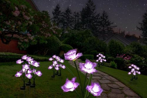 FLD-24 | Lampada solare da giardino Narcissus Daffodil | 67 cm, 600 mAh